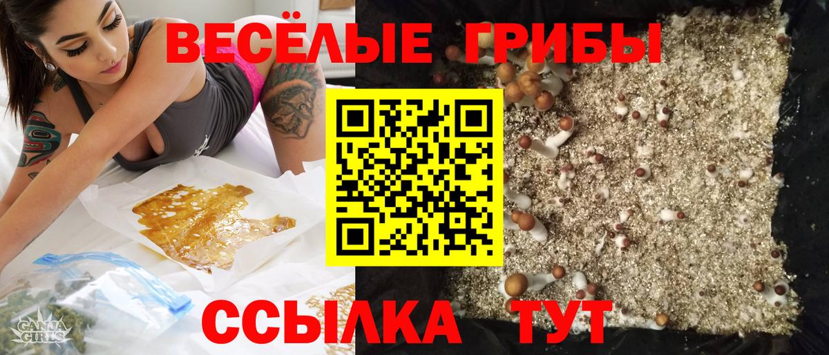 Псилоцибиновые грибы мицелий Белгород