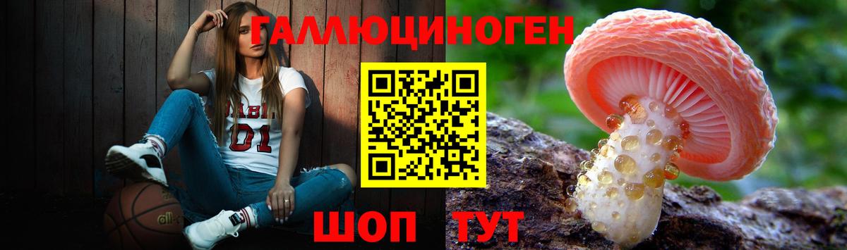 Галлюциногенные грибы GOLDEN TEACHER  Вход с VPN  Белгород  Псилоцибиновые грибы Psilocybine cubensis 